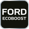 Zestaw blokad rozrządu do silników benzynowych ECOBOOST Ford