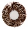 Ściernica listkowa trzpieniowa 60 x 15 x 6 mm, P60