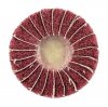 Ściernica listkowa trzpieniowa 60 x 25 x 6 mm, P120