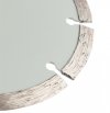 Tarcza diamentowa do cięcia segmentowa, 125 x 22.2 mm, na sucho