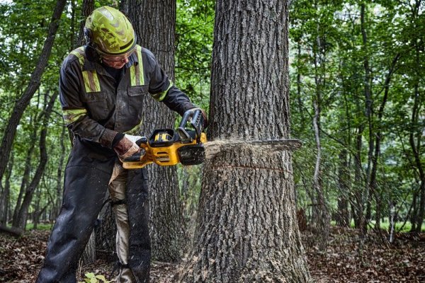 PILARKA ŁAŃCUCHOWA AKUMULATOROWA 50CM 54V XR 0*AH (1 SZT)
