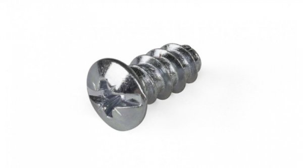 EUROWKRĘT WALCOWY OCYNKOWANY 6.3*11MM (1 KG)