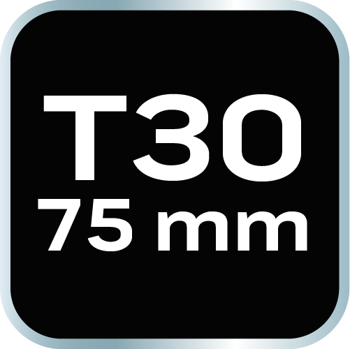 Końcówka TORX T30 x 75 mm, S2 x 2 szt.