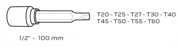 Końcówki Torx na nasadce 100 mm, zestaw 9 szt.