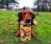 Kiwi Walker 100% KACZKA liofilizowane smaczki dla dużych psów 115g