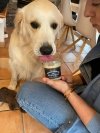 Stevi & Schnück‘s Hundemarmelade Weisswurst DŻEM DOBRY BIAŁA KIEŁBASA 275g