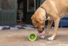 LickiMat® Yoggie Pot zielony