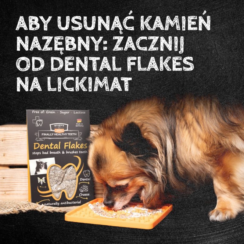 QCHEFS CAT Dental Flakes do higieny jamy ustnej dla KOTA