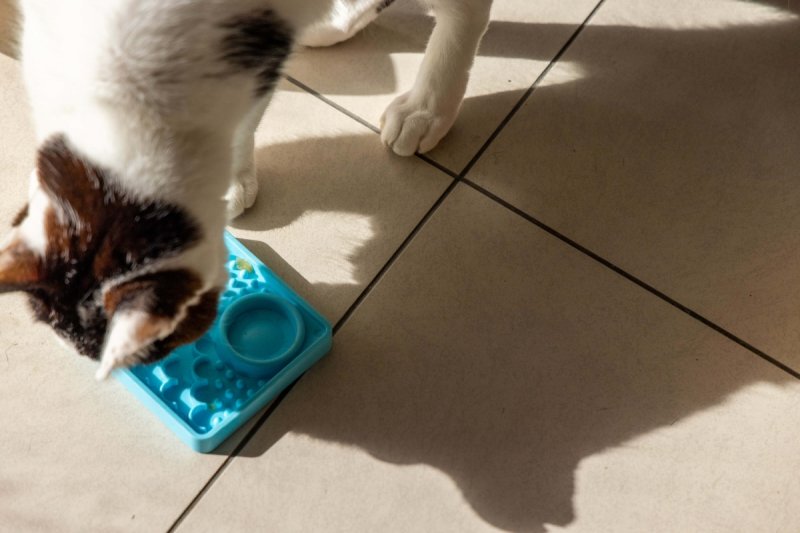 Mata LickiMat® Classic Kitty™ turkusowa