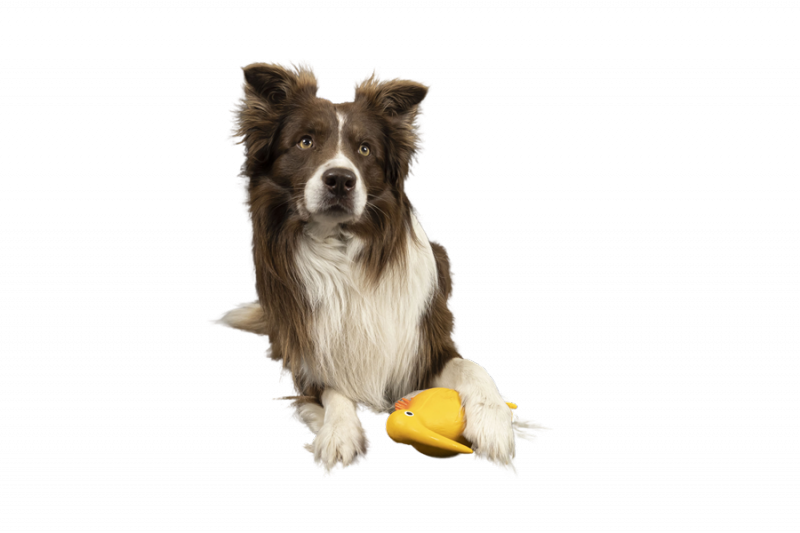 Kiwi Walker WHISTLE FIGURE zabawka dla psa M pomarańczowa