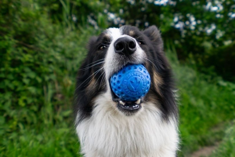 Kiwi Walker Let's Play BALL Maxi piłka niebieska