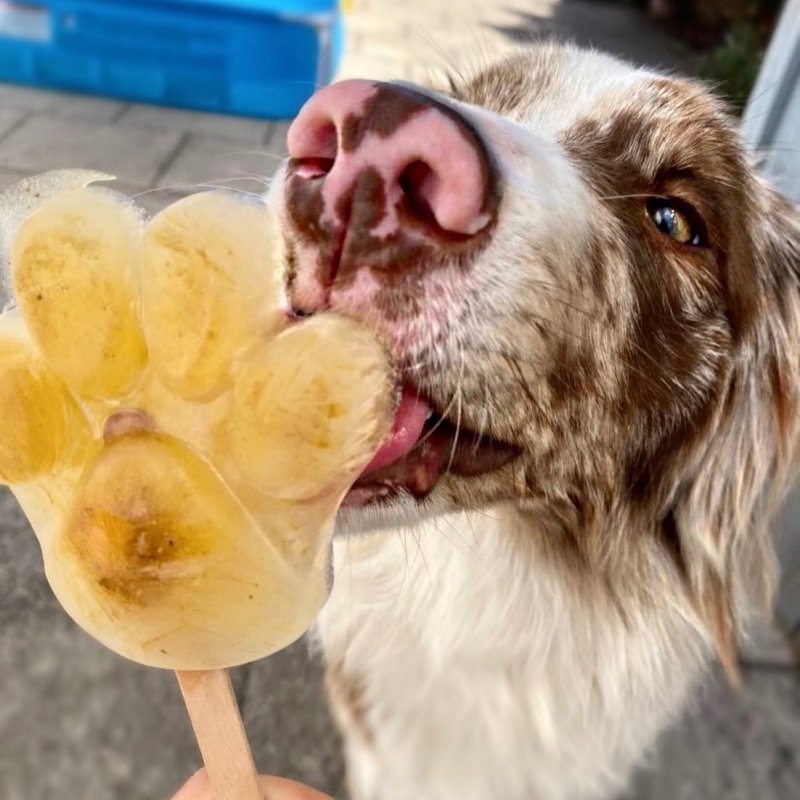 Stevi &amp; Schnück‘s Hundemarmelade KÜsschen! DŻEM DOBRY POCAŁUNEK 275g