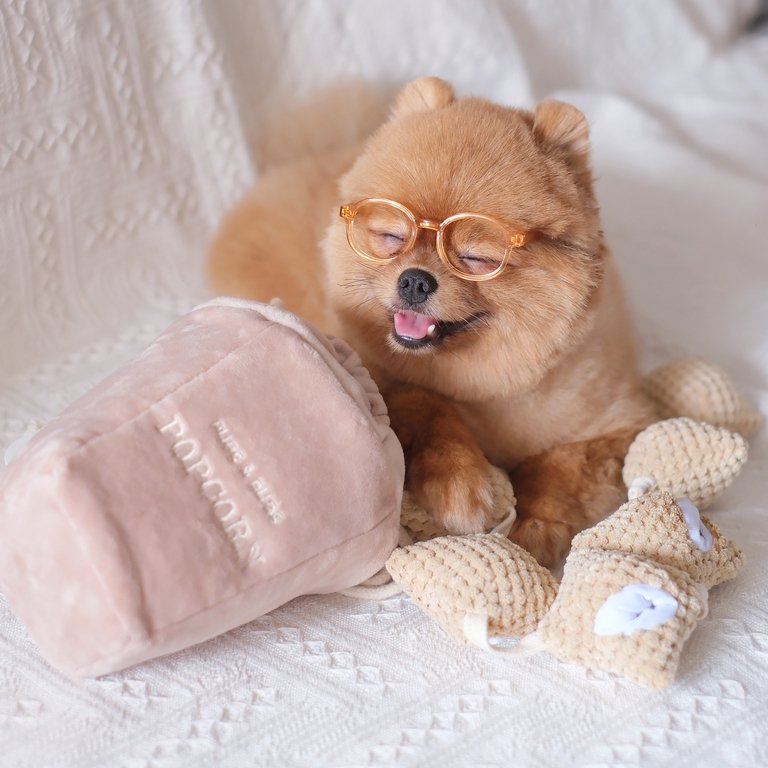 Pups &amp; Bubs POPCORN zabawka węchowa 
