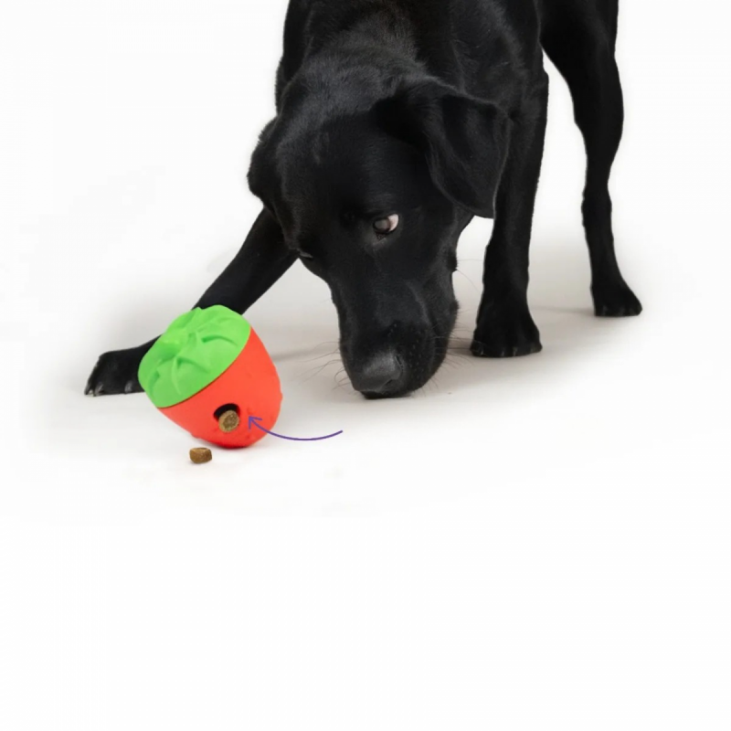 Brightkins Zabawka na przysmaki Strawberry Treat Dispenser TRUSKAWKA