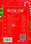 Skarpety świąteczne 28-31 AuraVia,skarpetki gwiazdka unisex mikołaj prezent