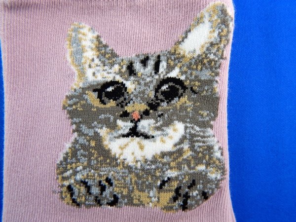 skarpety, motyw koty rozmiar 35-38 Aura.via