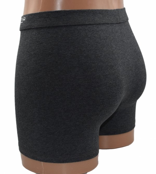 Wysokiej jakości bokserki Auravia wykonane z bawełny są idealne do codziennego noszenia. Grafitowy kolor i dyskretne logo sprawiają, że prezentują się nowocześnie, a jednocześnie zapewniają pełen komfort.