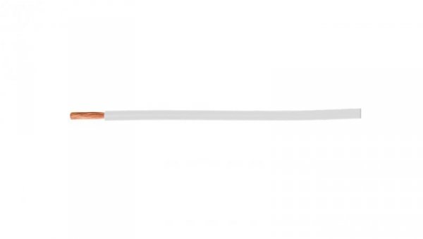 Przewód instalacyjny H07V-K (LgY) 1 biały /100m/