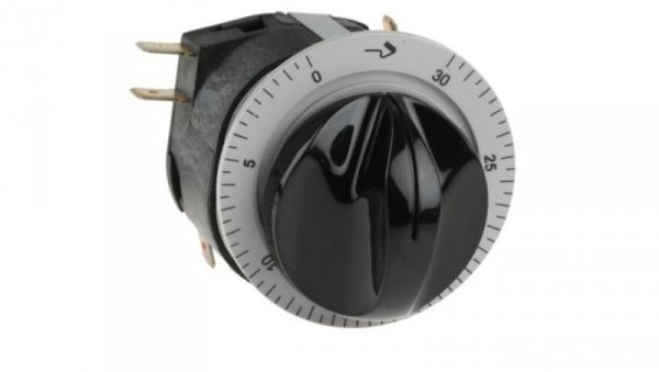 Timer Relay 0 → 30min DPDT