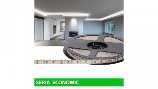Taśma Economic IP63 12V 60led W 6000-7000K SMD5050 (5)