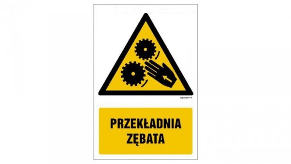 ZNAK - GF069 Przekładnia zębata 10 x 15 cm TS - Płyta TD foto.