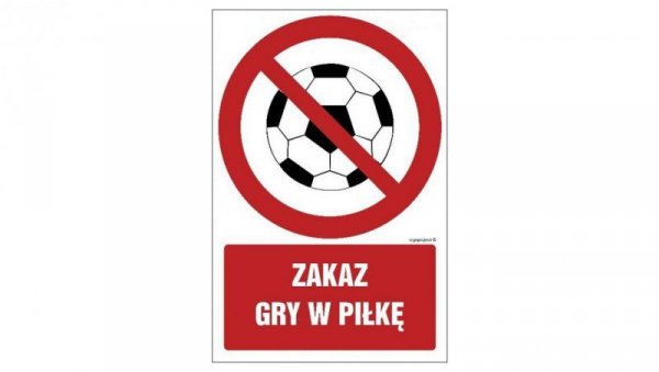ZNAK - GC049 Zakaz gry w piłkę 10 x 15 cm PN - Płyta 1mm