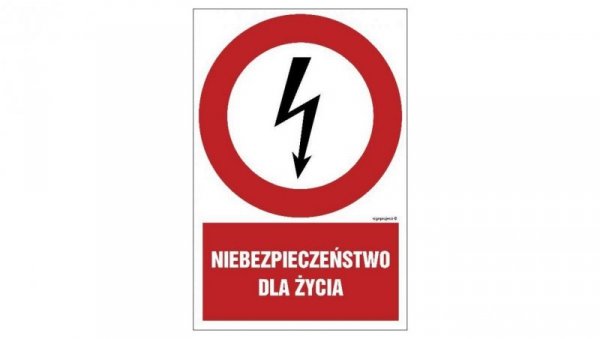 ZNAK - HC001 Niebezpieczeństwo dla życia 35 x 52,5 cm FN - Folia samoprzylepna