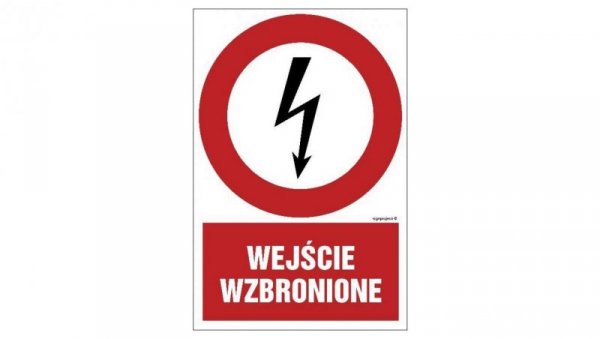 ZNAK - HC004 Wejście wzbronione 20 x 30 cm PN - Płyta 1mm