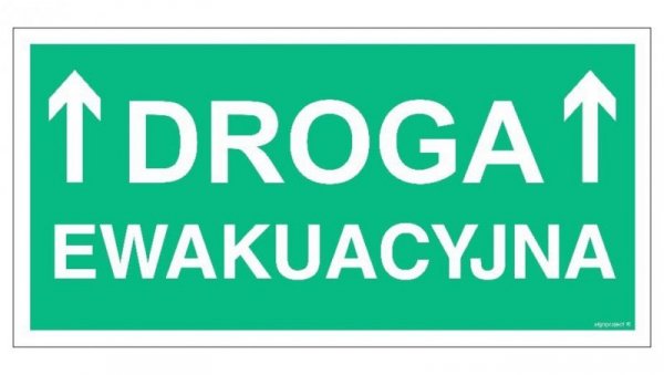 ZNAK - AC051 Droga ewakuacyjna 80 x 40 cm PS - Płyta 1mm foto.