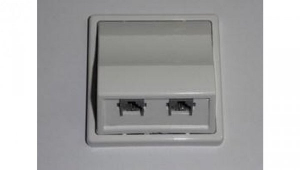 Gniazdo telefoniczne p/t 2xRJ-12 6p6c GTP-22G