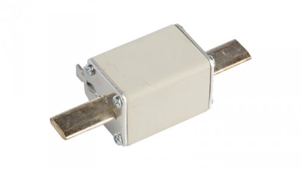 Wkładka bezpiecznikowa NH1 25A gF 500V 004139111