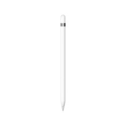 Rysik Apple Pencil 1-generacji do iPad (8/9. generacji)