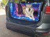 Mata samochodowa dla Psa do bagażnika  PROSTO Z KOSMOSU (również w innych wzorach graficznych) 