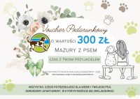 VOUCHER PODARUNKOWY O WARTOŚCI 300 PLN 