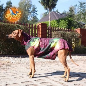Bluza dla Psa - KWIECISTA ENERGIA