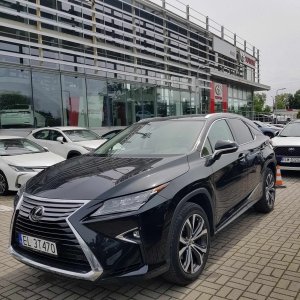 Mata samochodowa dla Psa - Miętę Czuję (realizacja Lexus RX na 2/3 tylnej kanapy)