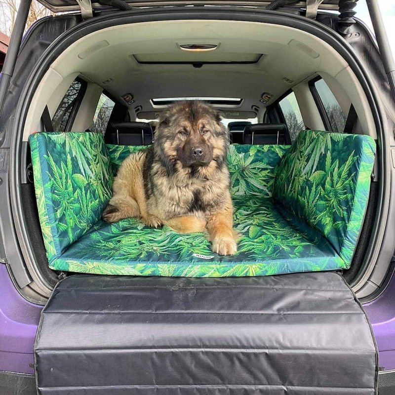 Mata samochodowa dla Psa do bagażnika  Marija Marija (realizacja Mercedes GL) 