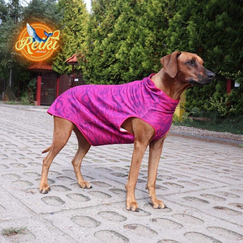 Bluza dla Psa - ZigZag