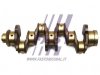 FAST Kurbelwelle für Fiat Ducato Iveco Daily 06|} 2.3 JTD  , FT51759 , 504017281