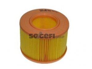 Neu Luftfilter PURFLUX A844