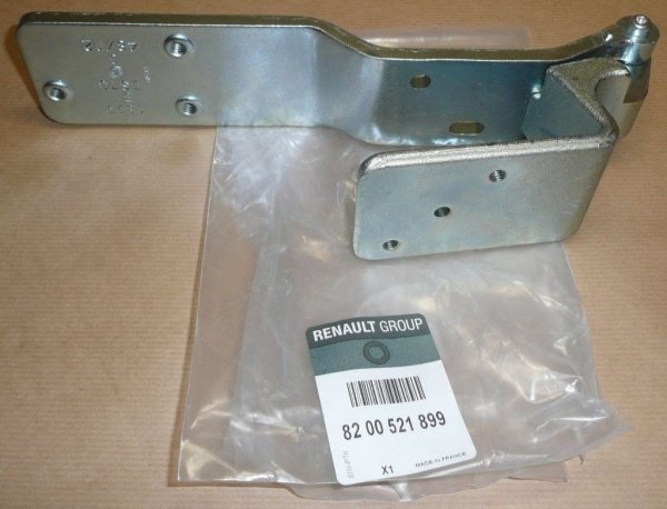Original 8200521899