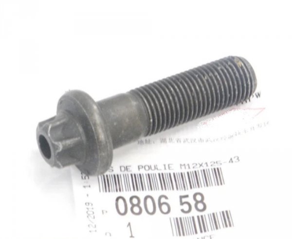 ORIGINAL Schraube der Nockenwellenriemenscheibe Citrpen Peugeot 3.0 ,080658 , 0806.58