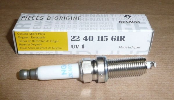 Original 224011561R