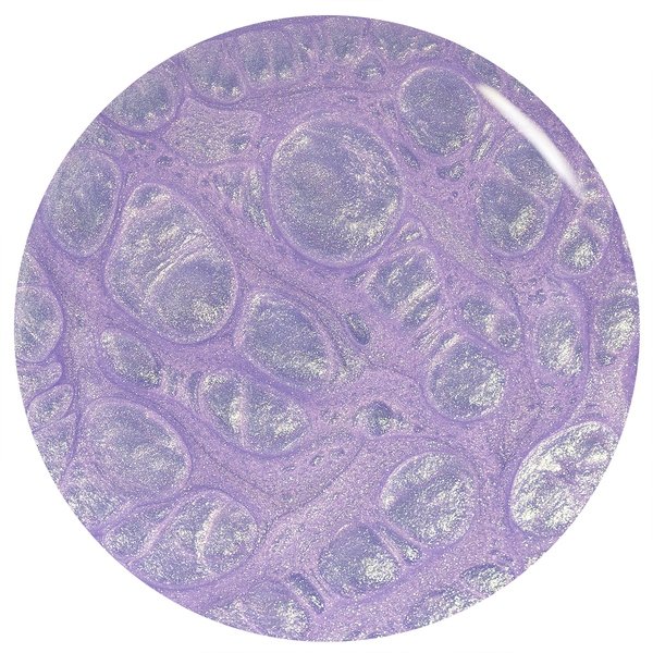 ORLY 2000437 Rollin with My Homies