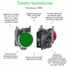 Styk pomocniczy 1Z montaż czołowy ZBE101TQ /100szt./