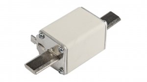 Wkładka bezpiecznikowa NH1 100A gF 500V WT-1 004139117