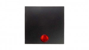 Berker B.1/B.3/B.7 Glas Klawisz pojedynczy do łącznika z 5 dołączonymi soczewkami antracyt 16211606