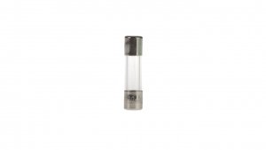 Wkładka aparatowa 5x20mm 100mA F /szybka/ 250V 006710009 /10szt./