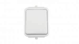Cedar Łącznik jednobiegunowy hermetyczny IP44 10A biały WNt-100C WNT100C01
