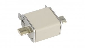 Wkładka bezpiecznikowa NH00 80A gF 500V WT-00 004114338